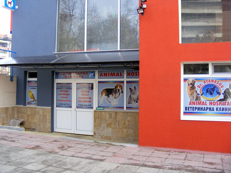 Входът на ветеринарна клиника „Д-р Атанасов“ в Шумен
